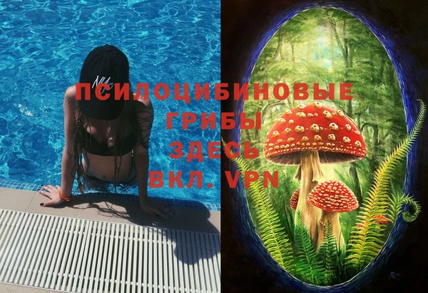метадон Гусиноозёрск