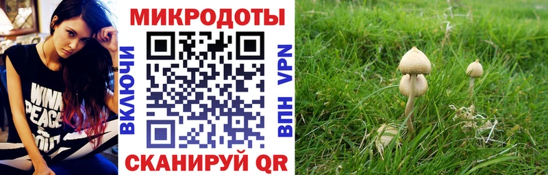 Псилоцибиновые грибы мухоморы  купить наркотики сайты  Отрадный 