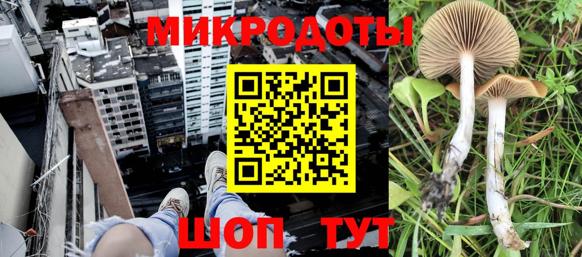 Псилоцибиновые грибы прущие грибы  Псилоцибиновые грибы Magic Shrooms  наркошоп  Отрадный  Вход с VPN 