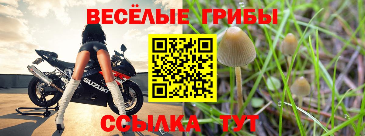 Псилоцибиновые грибы Magic Shrooms Отрадный
